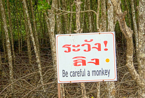 Be careful a monkey, Phuket