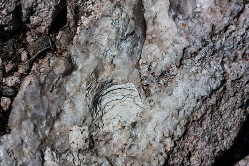 texture rock canadianshield texturedrock