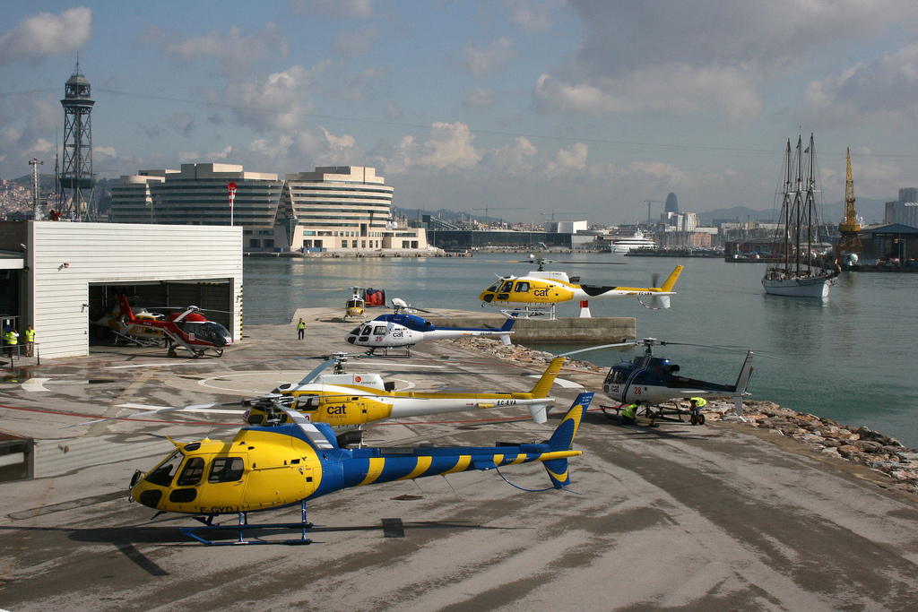 CatHelicopters