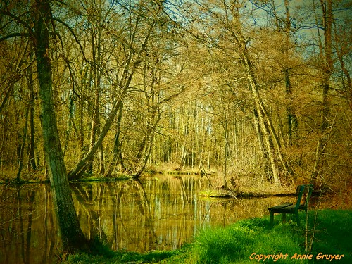 trees france green nature water yellow jaune reflections river spring nikon eau peace riviere vert arbres ru paysage reflets printemps banc paisible