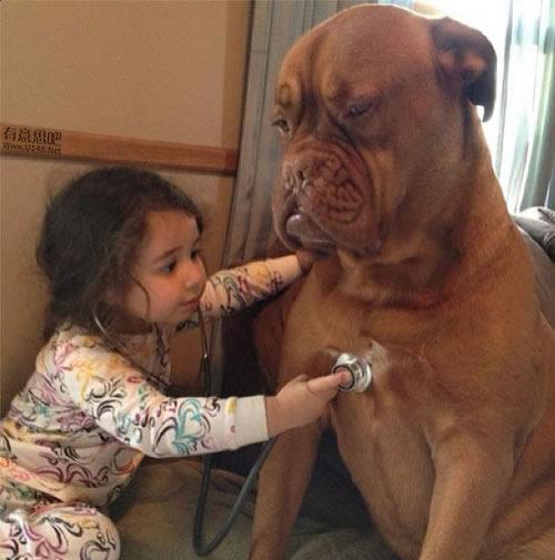 girl dog stethoscope