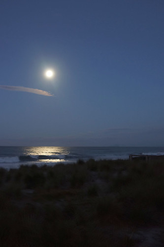 sea moon beach sunsetssunrises