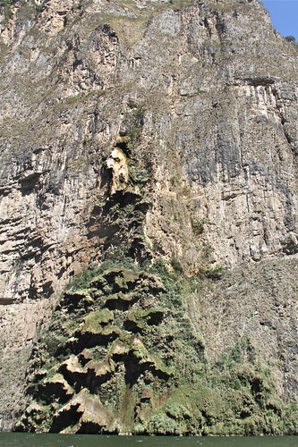 alberodinatale canyonsumidero messico2012