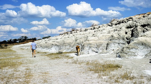 dog landscape slide greatdane mining walker ft kodachrome zambia nikkormat tailings kitwe af90 197703 edk7 uichislimedam