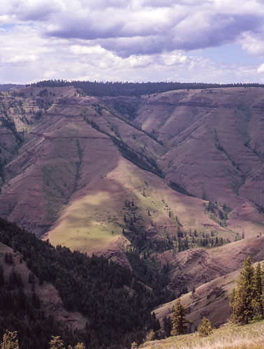 oregon mediumformat landscape 645 canyon bronica viewpoint velvia100f etrs epsonv700 or3 zenzanon75mmmc joesephcanyon