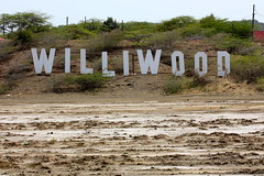 Williwood