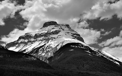 trees canada mountains nature blackwhite snowcapped evergreen alberta day4 banffnationalpark lookingwest icefieldsparkway canadianrockies evergreentrees highway93 project365 mountainsindistance mountamery blueskieswithclouds nikond800e mountainsoffindistance hillsideoftrees lyellgroup centralmainranges centralicefields