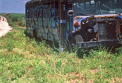 Graffiti Bus (Jupiter 9, 1954)
