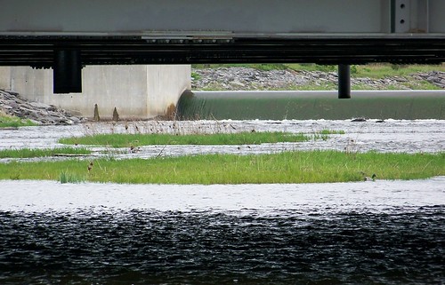 bridge ontario canada belleville mypics moirariver westriversidepark