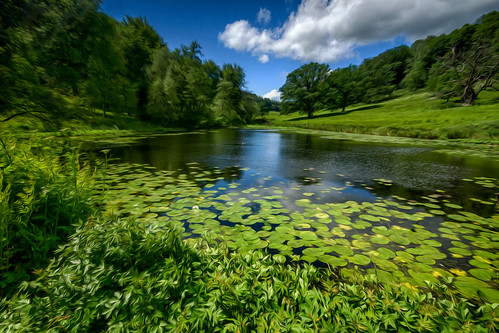 lake water landscape countryside stourhead wiltshire nationaltrust sigma1020mm oilpaintingfilter sonya77