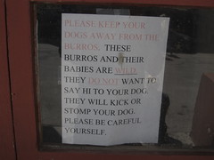 I Get It: Keep Your Dogs Away from Burros