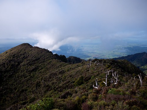 newzealand northisland tramping forestpark gf1 pirongia lumixg20f17