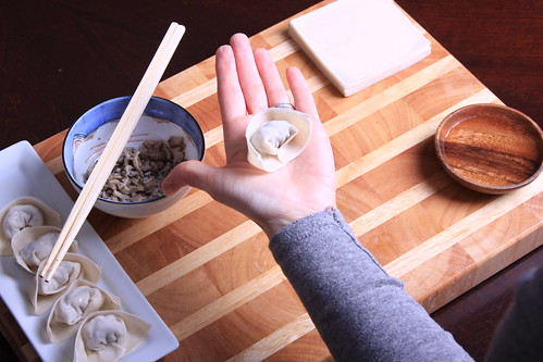 How to Fold a Wonton Dumpling