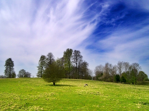 trees england clouds spring day cloudy hill hampshire stockbridge april 2008 cirrus hillfort daneburyhill testvalley middlewallop