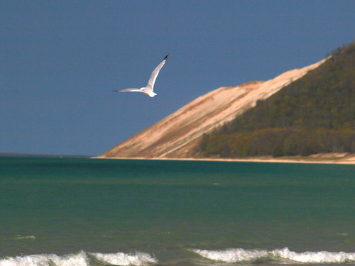 sea white tourism beach public sunshine mi spring sand gull dune naturesbest sleepingbear may2012 glenlakephotoclass