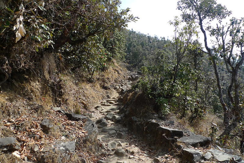Сагарматха, почти 3 перевала.  Шивалая – Чукунг – Горак Шеп – Гокио – Джири, март 2014