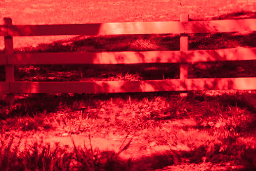 windows red color window nature glass photography march texas stainedglass series onecolor f80 hillcountry 2012 1250 vibrance 200mm texashillcountry onewindow washingtoncounty ef200mmf28liiusm throughstainedglass ¹⁄₁₆₀sec mabrycampbell march242012 stainedglasscolorprocessing 201203246409