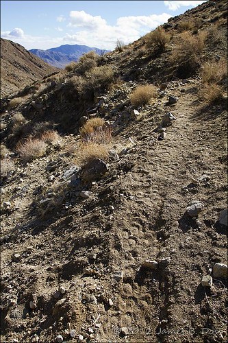 desert burro trail w9jim 1740l trona hoofprints