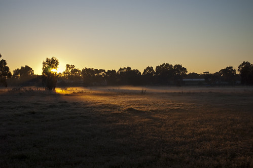 morning light sun cold fog digital zeiss sunrise 35mm foggy rangefinder frosty carl epson f2 rise bendigo biogon rd1s