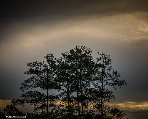 nature clouds sunrise dawn unitedstates southcarolina