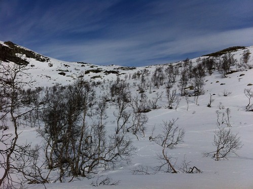 snow ski 2012 snø