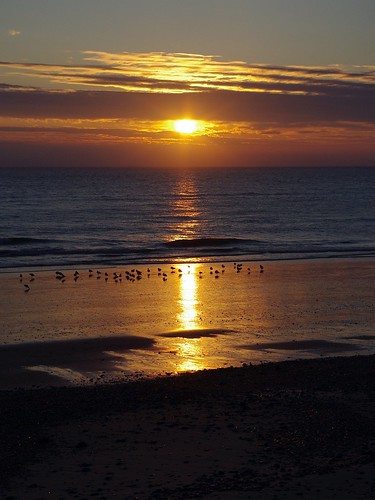 sea sky sunlight beach beautiful birds clouds sunrise reflections dawn coast sand gulls norfolk northsea eastcoast cromer staringatthesun