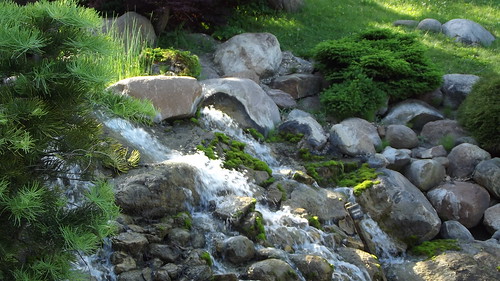 flowers water waterfall spring arboretum japanesehealinggarden