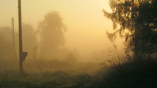 morning light sun mist nature fog sunrise canon landscape dawn countryside spring village