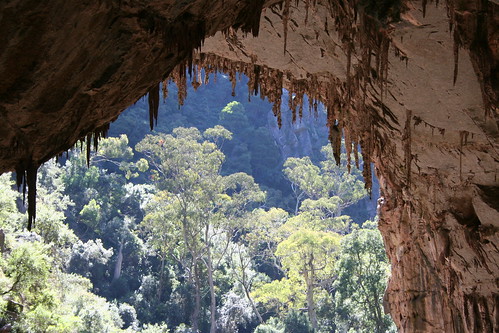 Nettle cave