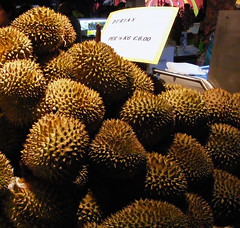  Doerian of durian