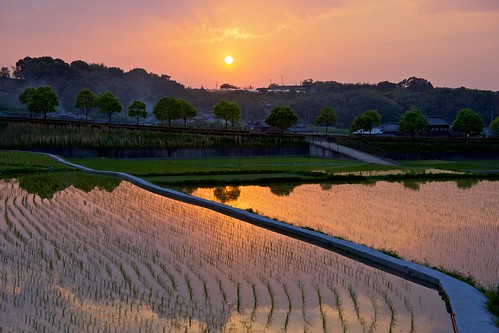 sunset field japan day rice sony 日本 kagawa 田んぼ 夕焼け 香川 apsc sel1855 nex7 gettyimagesjapan12q2 ©jakejung pwpartlycloudy