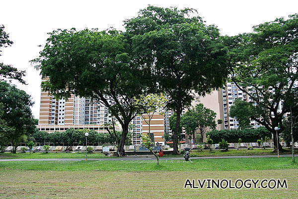 The graveyard with HDB flats in the backdrop