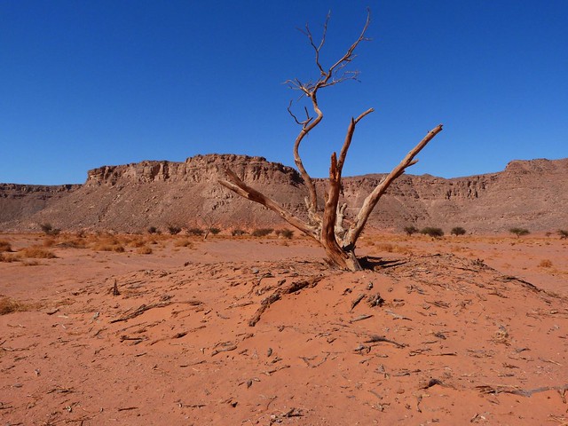 Wadi Hamra en la Meseta de Gilf Kebir (Desierto Líbico, Egipto)