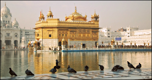 india pool golden divine holy nectar sikh punjab amritsar goldentemple darbarsahib incredibleindia indiantourism harimandir gururamdas amritsarovar harmindarsahib guruarjandev wonderofindia