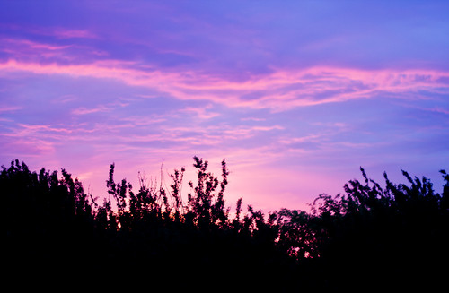 canada colors silhouette contrast sunrise canon eos colours edmonton alberta treetop rundlepark t2i