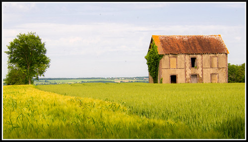 house nature field landscape olympus normandie maison campagne normandy orne epl1