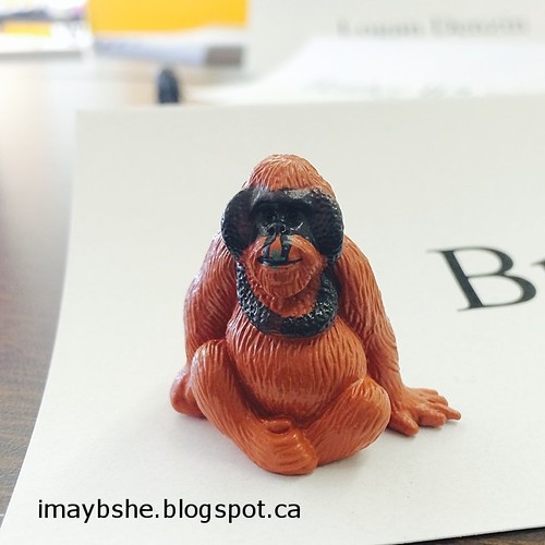 This monkey is keeping me company at my meeting. #100happydays
