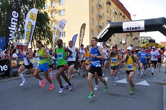Nejvýhodnější registrace na Půlmaraton Moravským krasem končí 31. května!