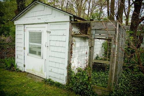 outdoor shed: my dream office