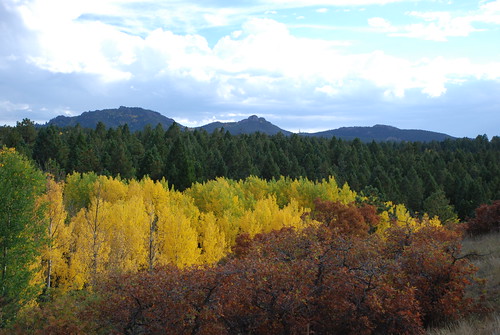 blue autumn trees sky orange cloud mountains tree green fall nature grass leaves yellow clouds forest golden leaf colorado colorful view ground aspen coloradorockies