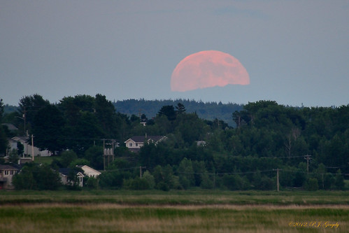 moon canada newbrunswick moncton cropped allrightsreserved©drgnmastrpjg rawjpg ©pjgergelyallrightsreserved