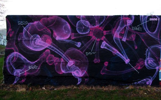 graffiti rayos-x