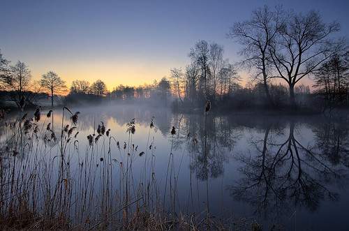 morning light mist lake nature fog sunrise landscape see march spring mood brandenburg dietrichbojko schmalersee