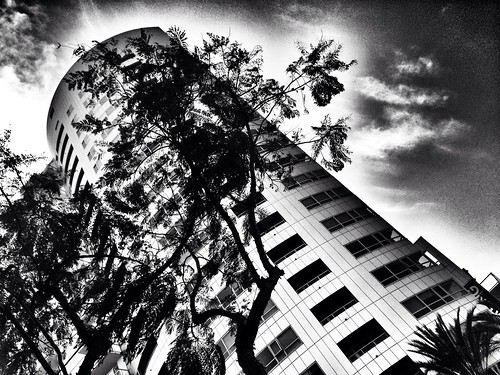 bw monochrome architecture sandiego iphone project365 500px 101365 iphone365 iphoneography snapseed