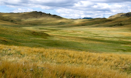 sky plants grass clouds spring montana grasses prairie