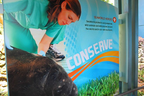 TurtleTrek at SeaWorld Orlando