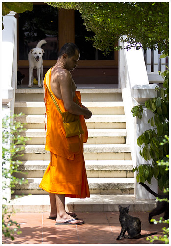 Monk at Kathu Temple