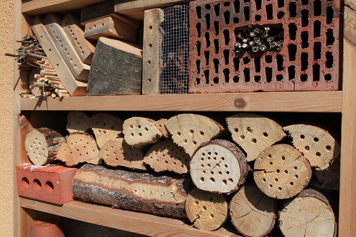 My recent insect hotel