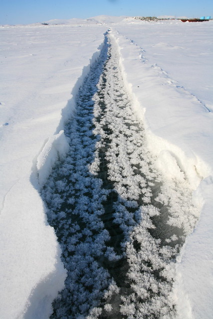 Bering Sea Crack | Crack in the ice and snow. In the crack w… | Flickr