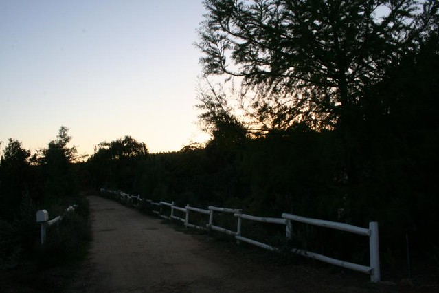 country road at dusk